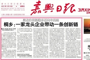 嘉興日報(bào)頭版頭條點(diǎn)贊！桐鄉(xiāng)：一家龍頭企業(yè)帶動(dòng)一條創(chuàng)新鏈