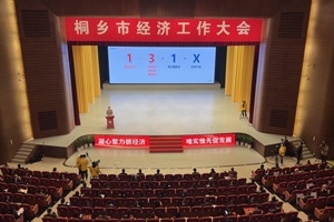 【菊鄉(xiāng)快評(píng)】經(jīng)濟(jì)工作大會(huì)上，桐鄉(xiāng)市委書記為何重點(diǎn)講巨石的電子布？
