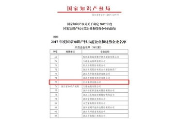 巨石集團被評為2017年度國家知識產(chǎn)權示范企業(yè)