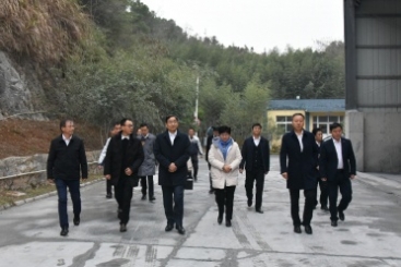 中國建材集團黨委書記、董事長周育先調(diào)研巨石九江鈣業(yè)公司